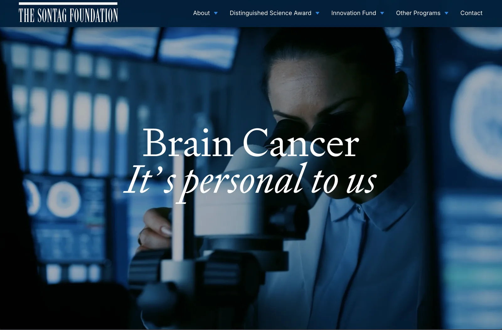 The Sontag Foundation website preview