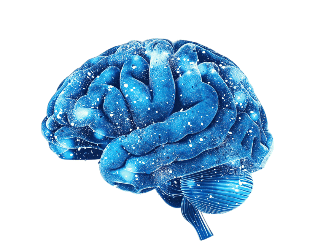 sontag blue circuit brain