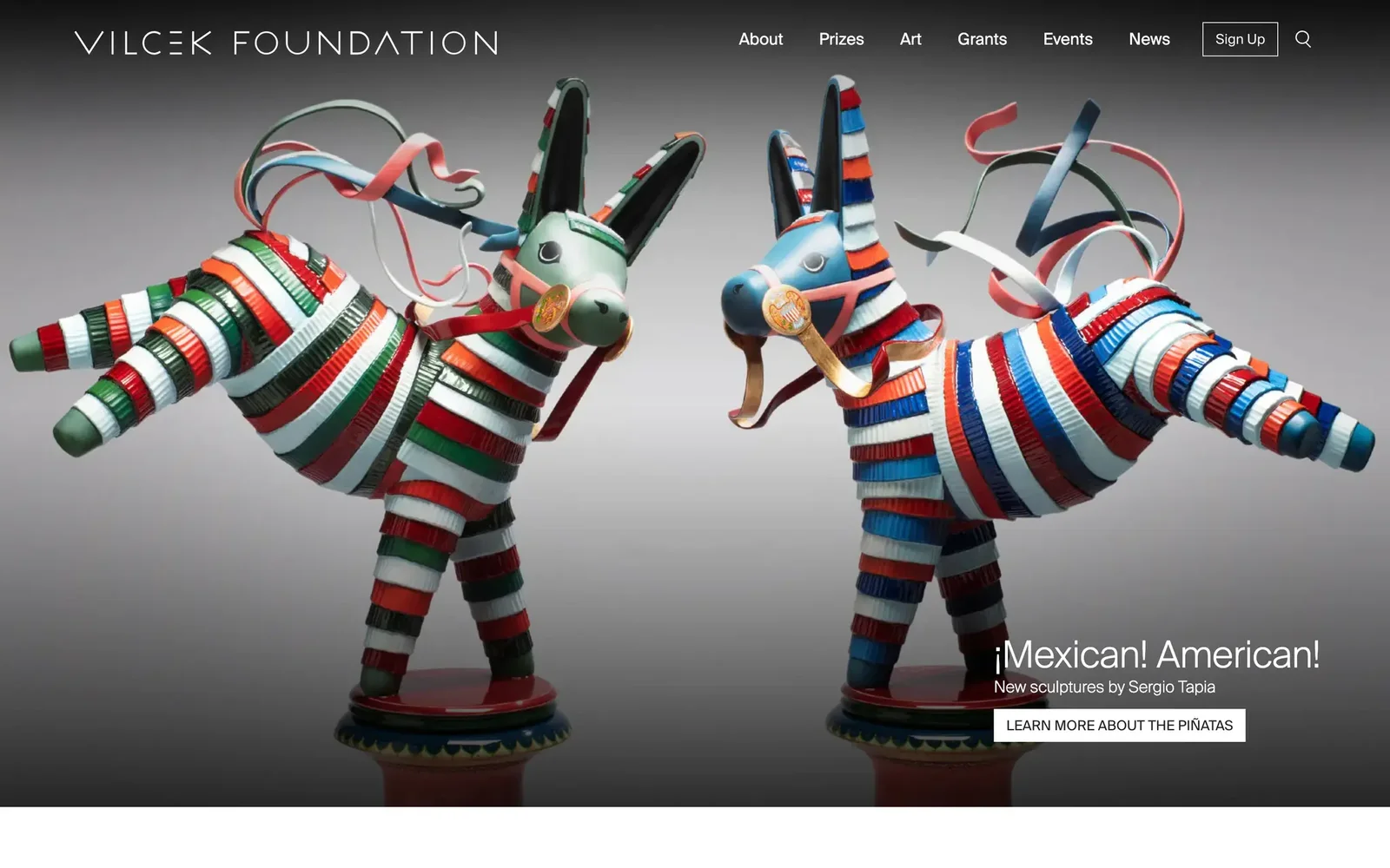 Vilcek Foundation website preview